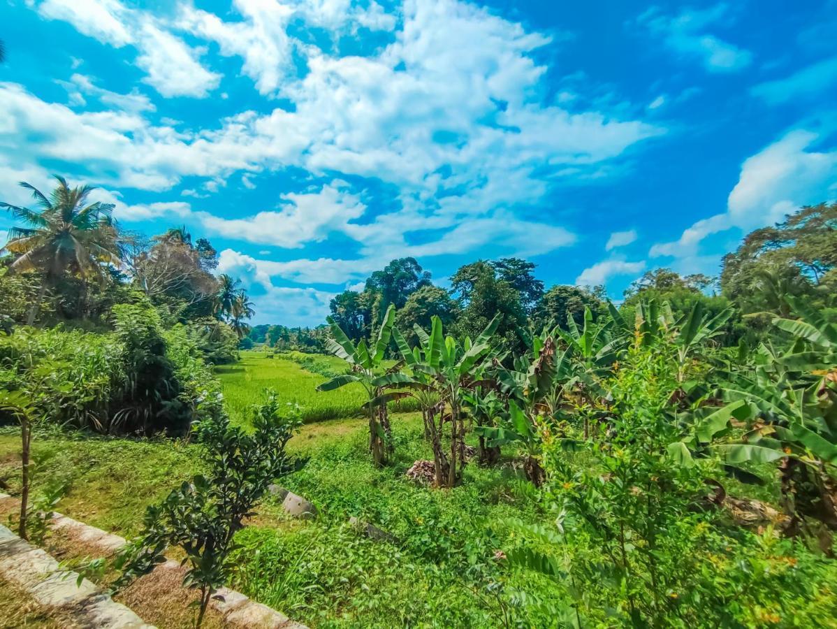 Peacock Village Pinnawala Pinnawala  Kültér fotó