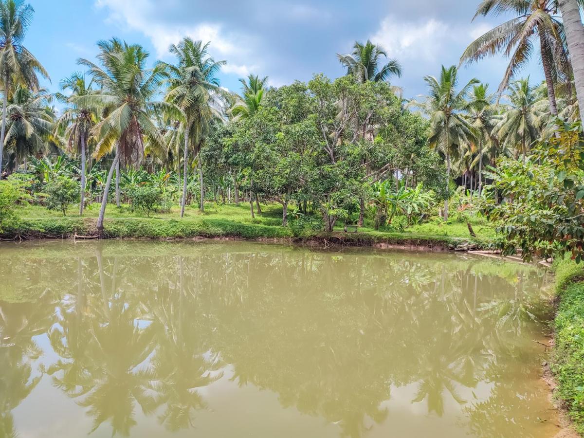 Peacock Village Pinnawala Pinnawala  Kültér fotó